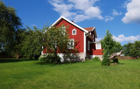 Bökevara