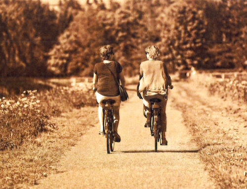 Infoträff om cykelslingor i Algutsboda socken
